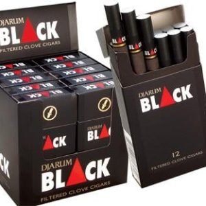 Djarum Black Regular 10 PK