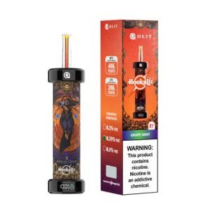 Hookah Lit Grape Mint 40K 1CT